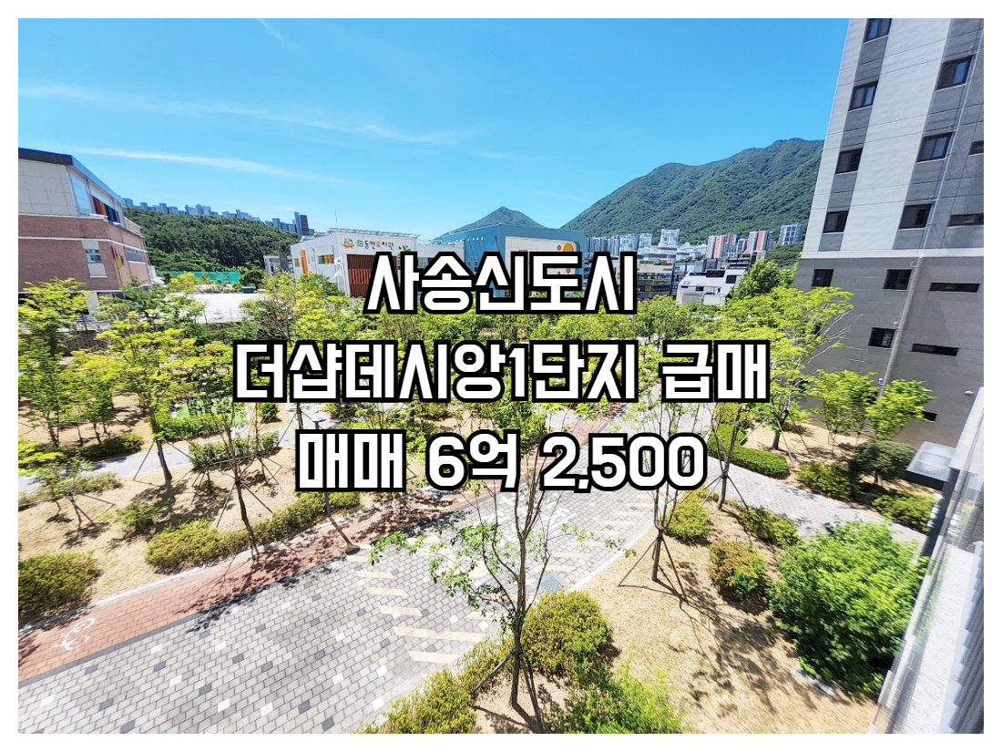 사송더샵데시앙1단지 급매 101타입 매매 6억2500 공급131.82㎡ 전용101.94㎡ 방5 욕실2 남서향 고층