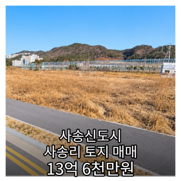 사송신도시 사송리 토지 매매 13억6000 토지면적 563.8㎡ 약170평 자연녹지지역 대지